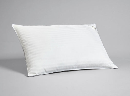 Early's Of Witney Washable Pillow Pair