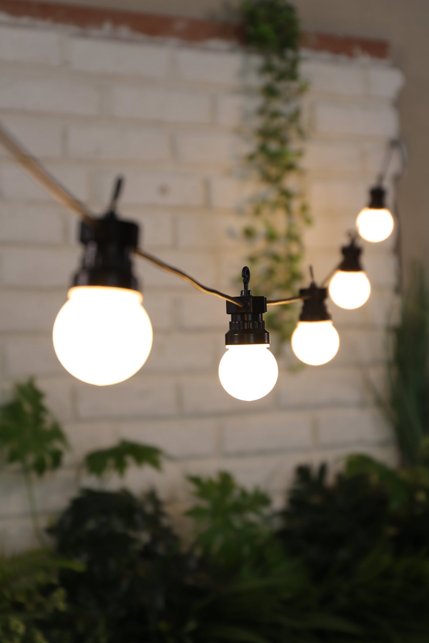 Pack of 10 Festoon Solar Lights