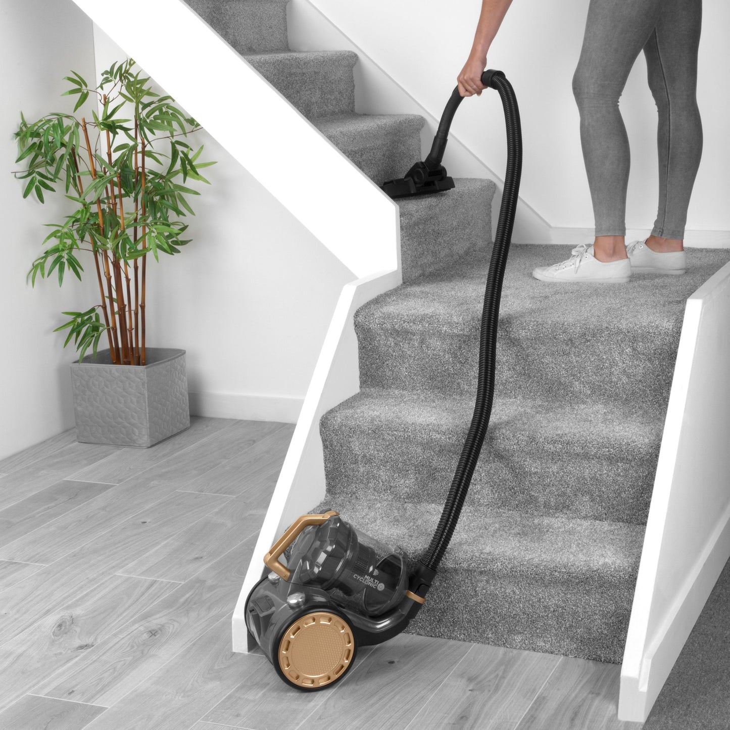 Beldray 2.5L Cylinder Pet Vacuum Cleaner
