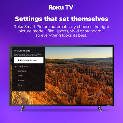EKO ROKU 32 Inch Smart HD TV