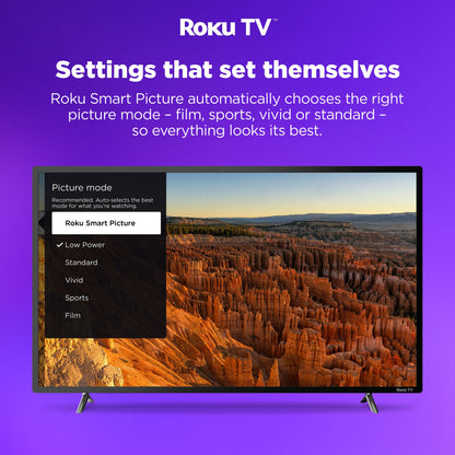 EKO ROKU 55 Inch 4K UHD Smart TV